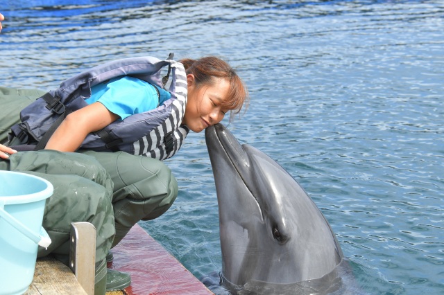 ドルフィンファンタジー2