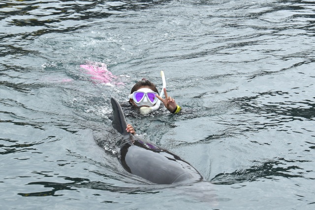 ドルフィンファンタジー3