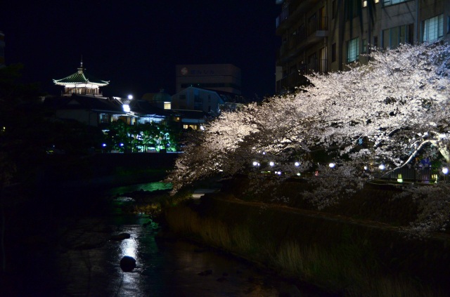 東海館＆さくらライトアップ