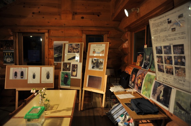 ほたる観賞会５　