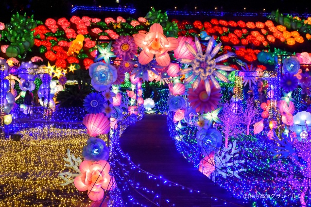 伊豆高原グランイルミ