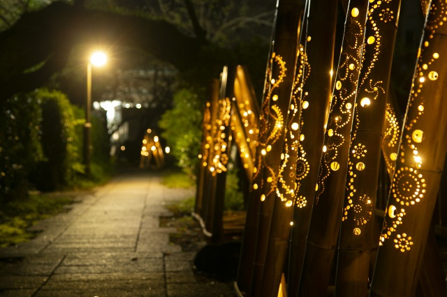 伊東温泉竹あかり8