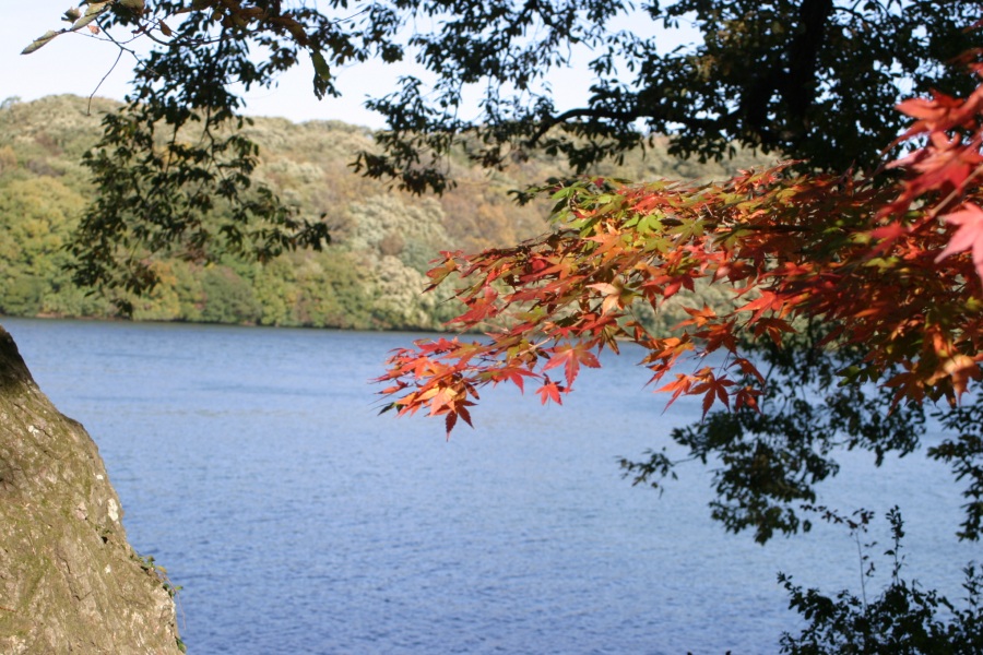 一碧湖の紅葉