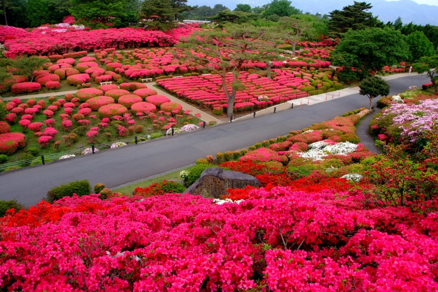 小室山公園
