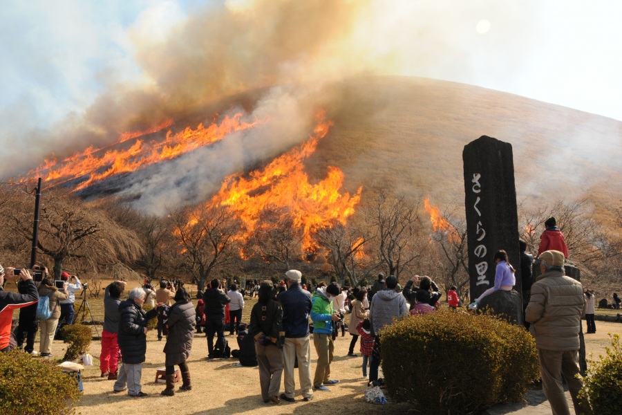大室山山焼き