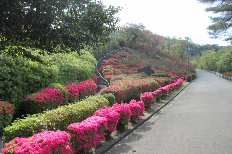 斜面(階段右側)