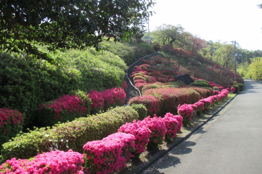 斜面(階段右側)