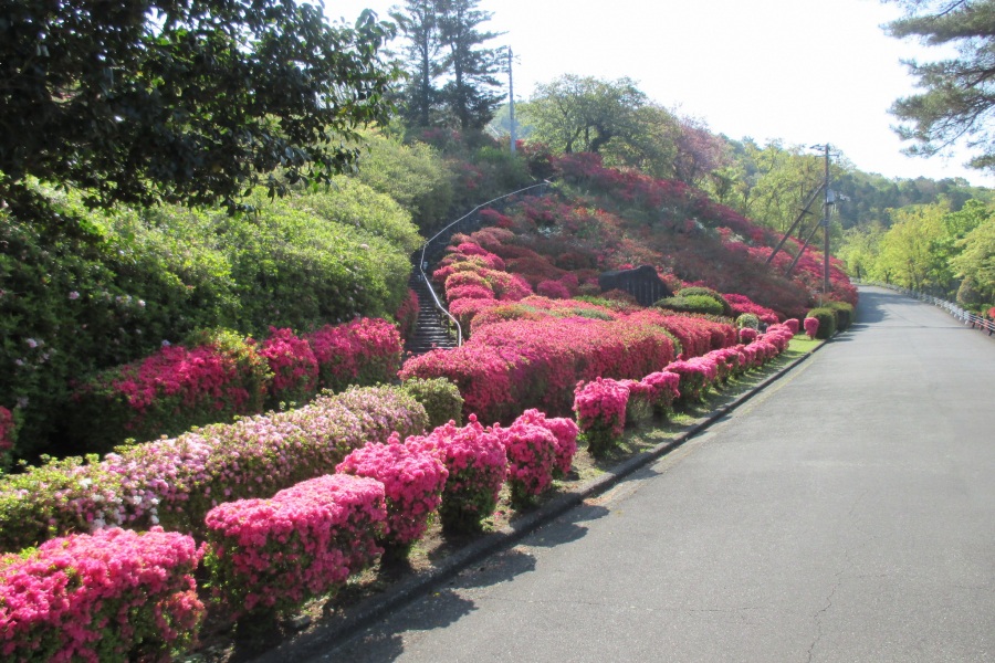 斜面(階段右側)