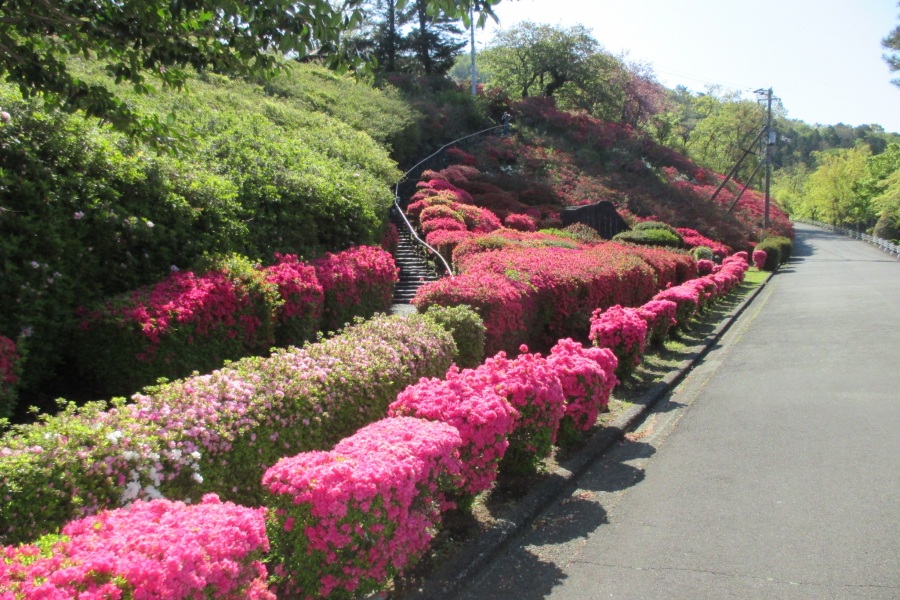 斜面(階段右側)