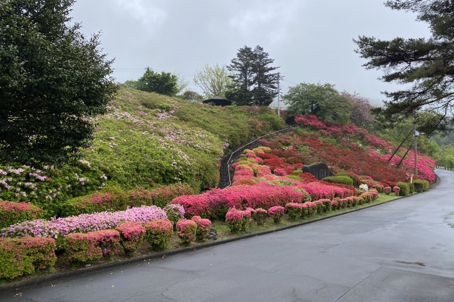 斜面(階段右側)