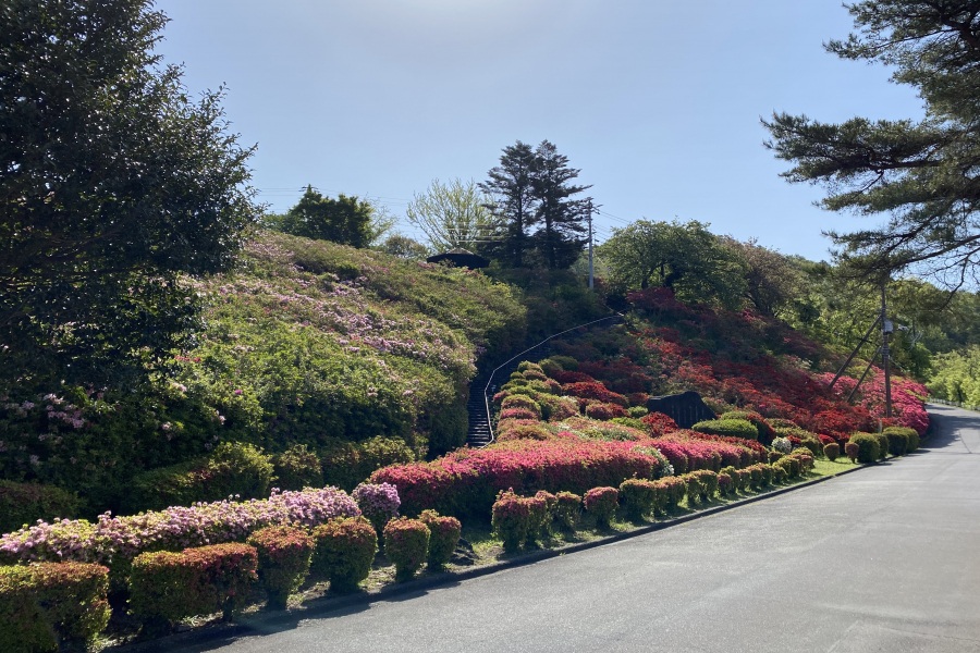 斜面(階段右側)