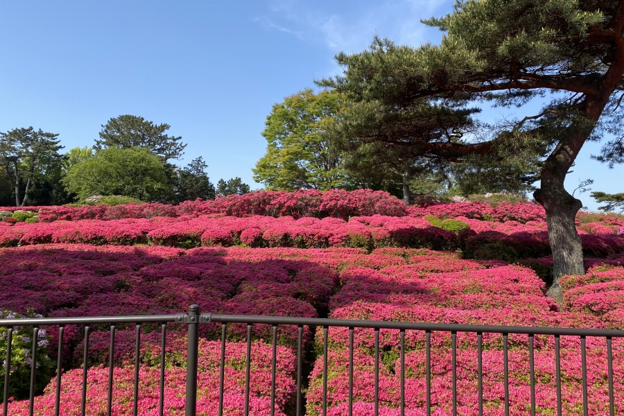 園内①