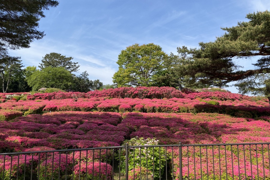 園内②