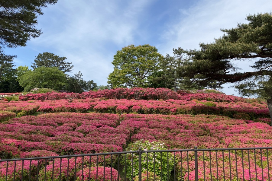 園内②