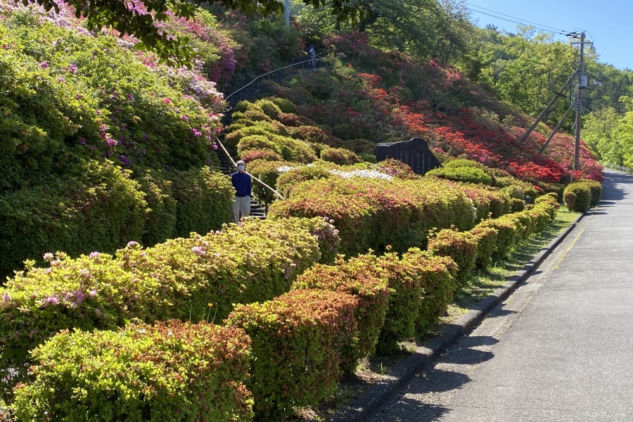 斜面(階段右側)