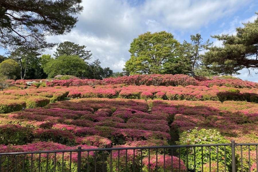 園内②