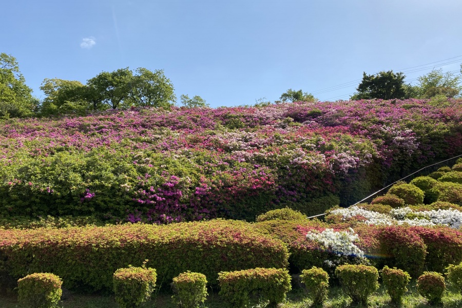 斜面(左側)