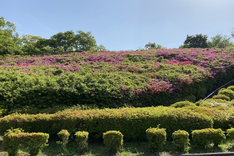 斜面(左側)