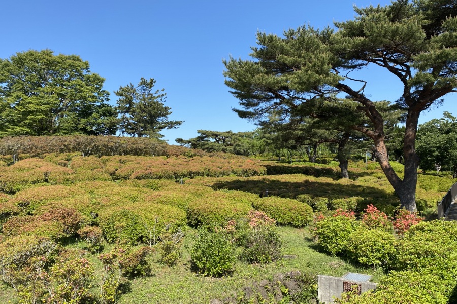 園内2