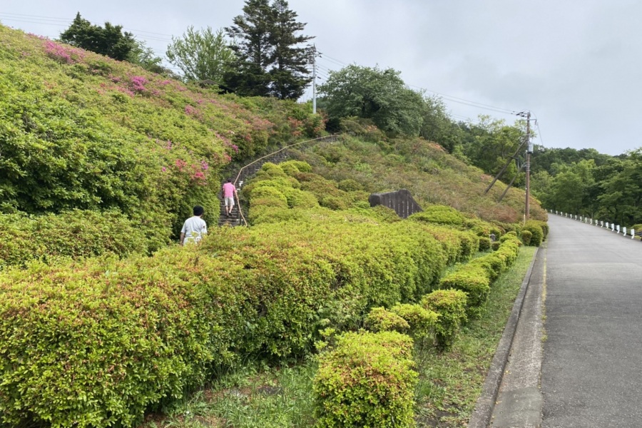 斜面(階段右側)