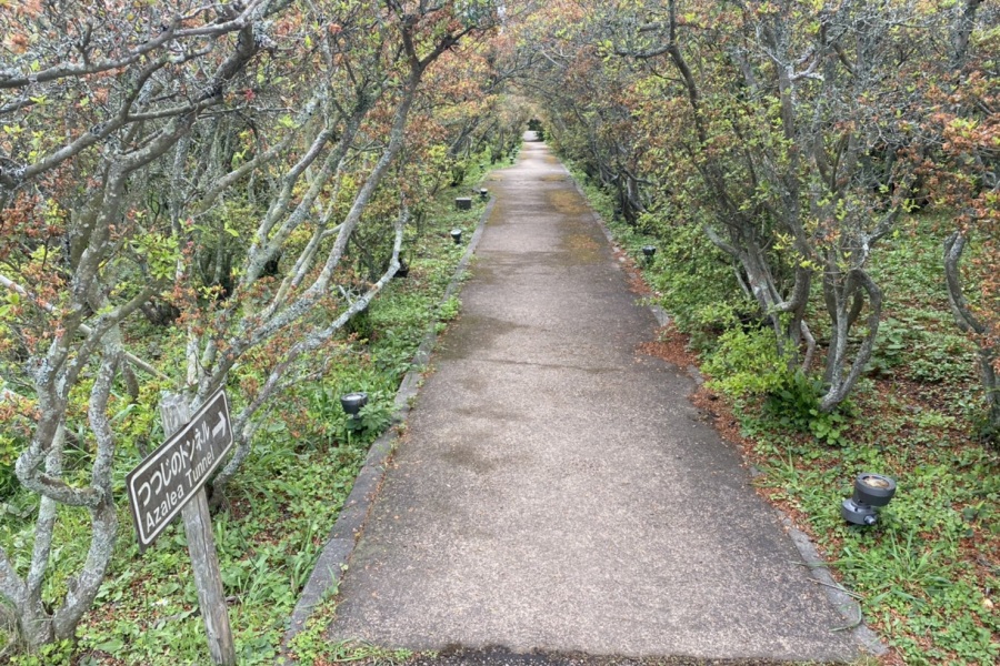 トンネル