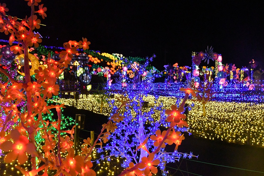 日本最大級のイルミネーションはクリスマスにぴったり。