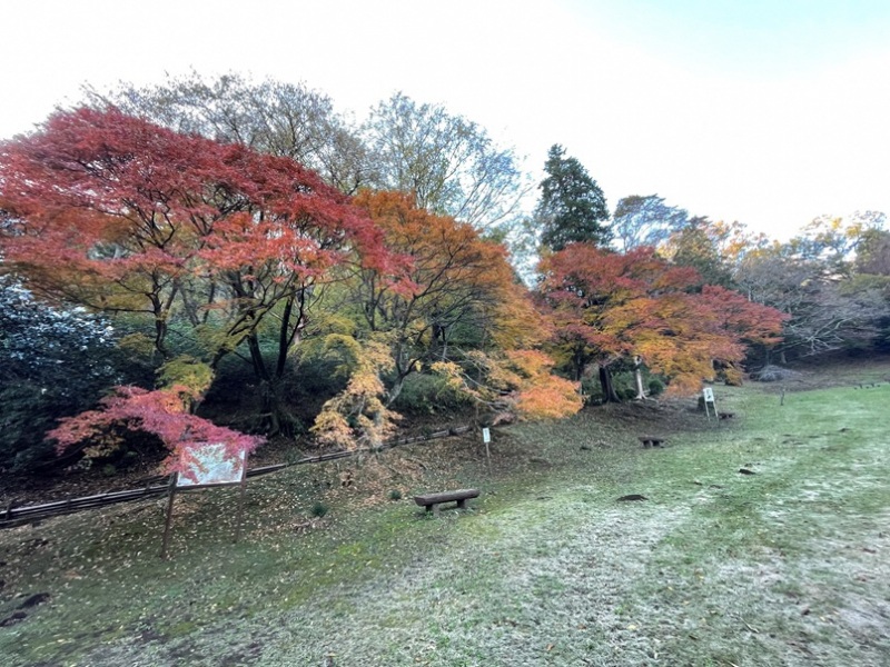 丸山公園１