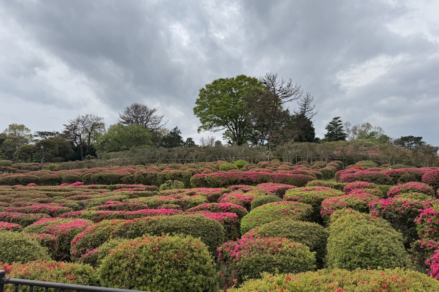 園内