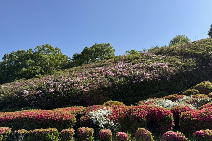 斜面(階段左)