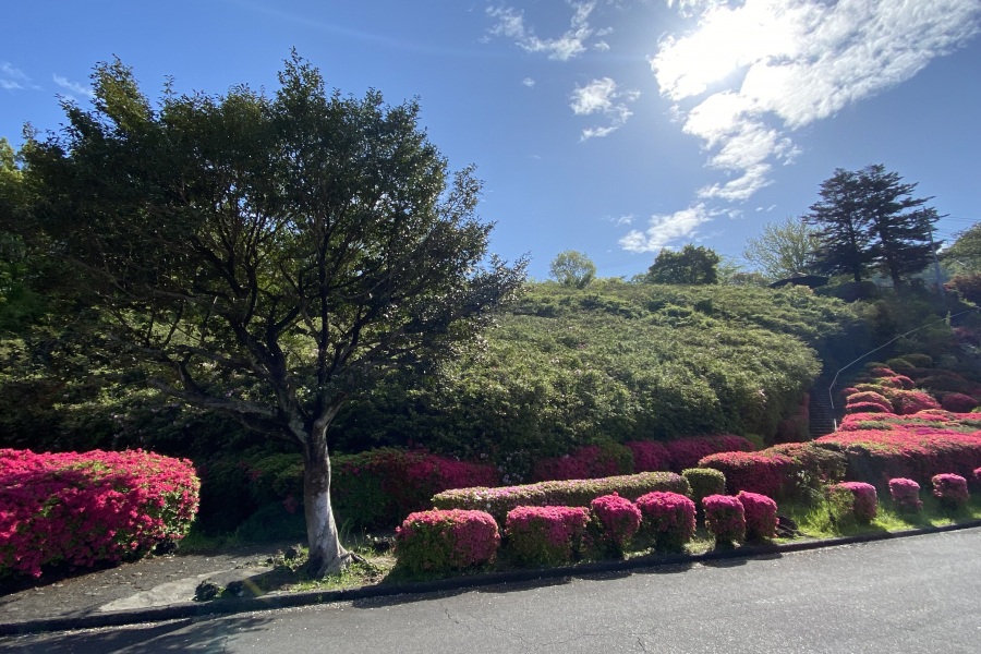 斜面（階段右）