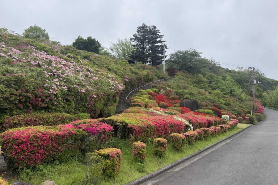 斜面（階段右）