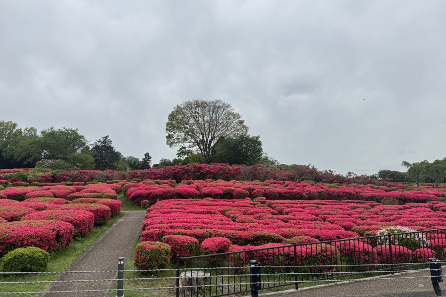園内