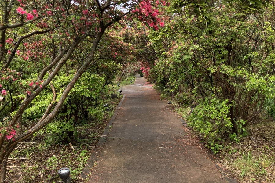 トンネル