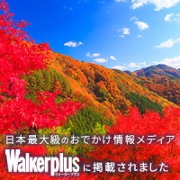 ウォーカープラス　紅葉