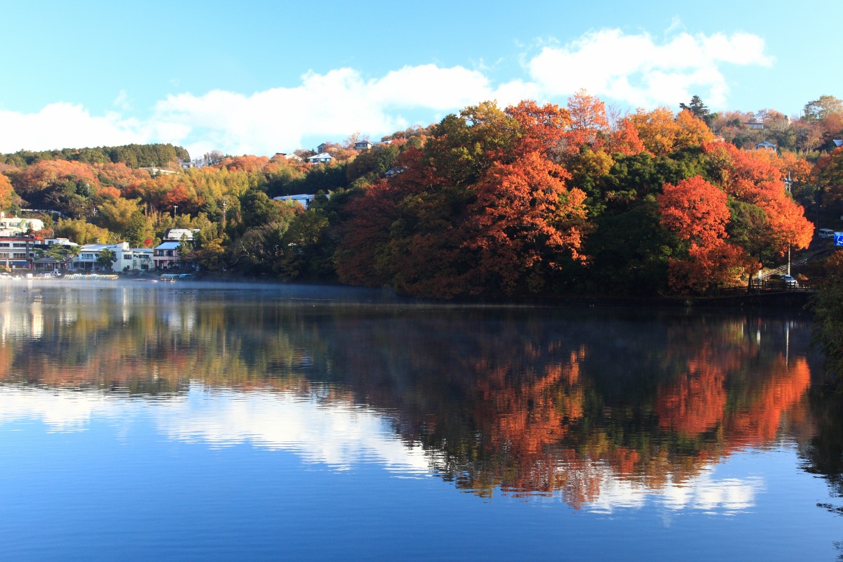一碧湖・丸山公園の紅葉状況